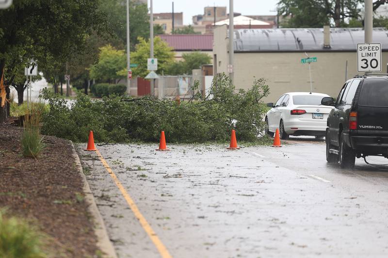 Cars navigate around a downed tree along South Chicago Street after a storm blew through Joliet Sunday morning, July 14, 2024.