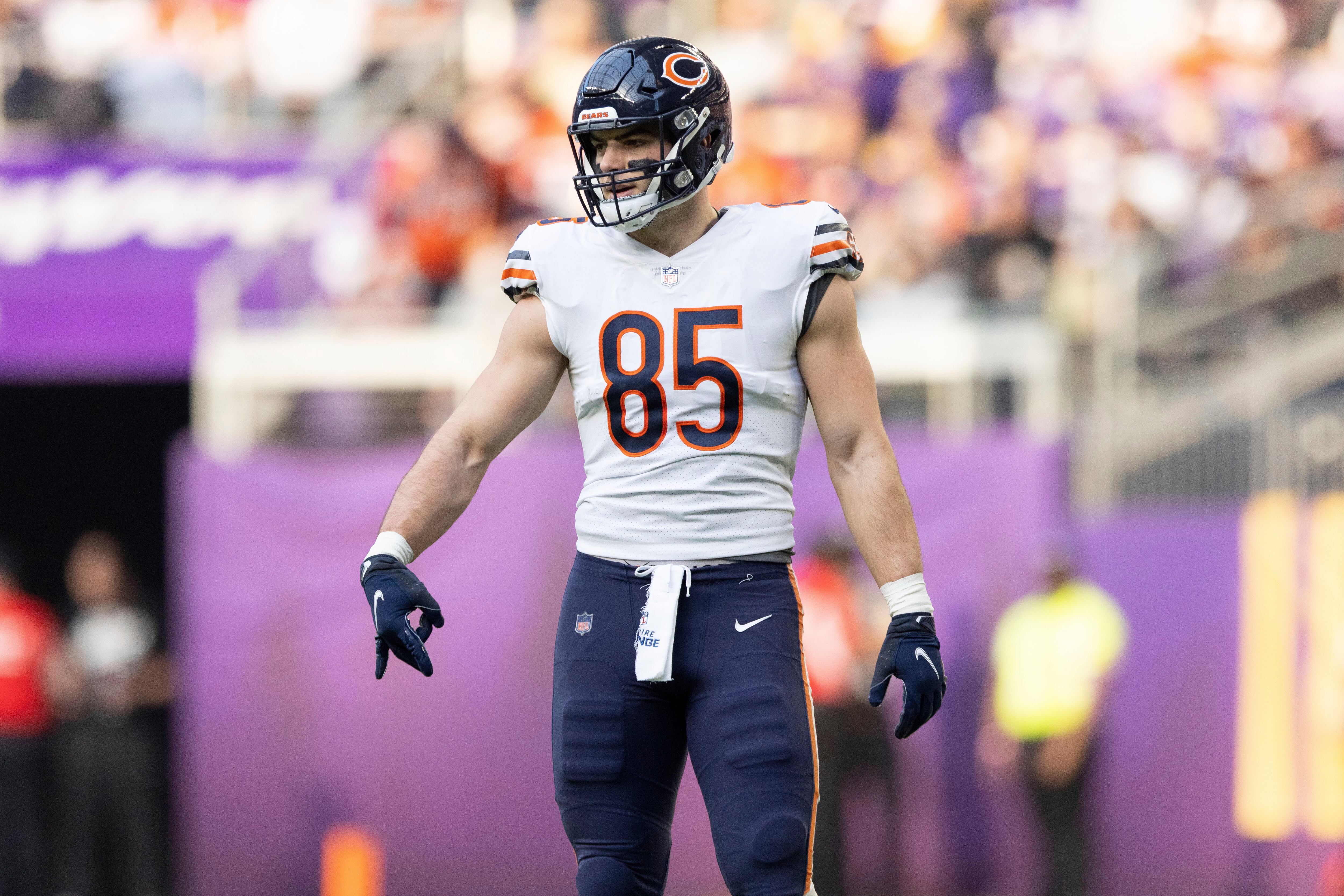 Chicago Bears 2022 training camp preview: Tight ends