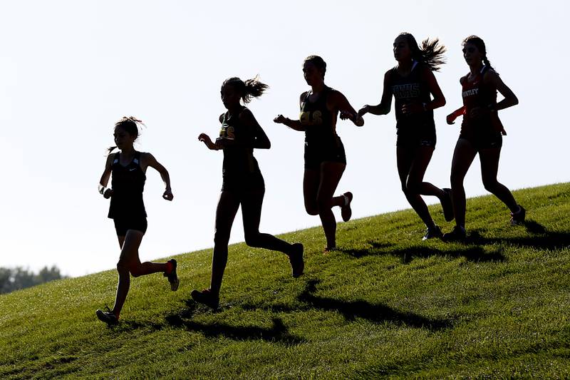 Runners make the way through the cross country corse during the girls race of the McHenry County Cross Country Meet Saturday, August 27, 2022, at Emricson Park in Woodstock.