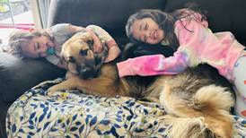 Minooka family loses all 4 pets to house fire