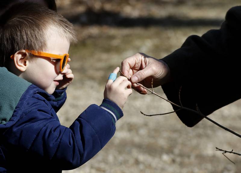 Sylvan Burrow, 5, of McHenry, learns how to identify a sugar maple tree during the McHenry County Conservation District’s annual Festival of the Sugar Maples on Monday, March 6, 2023, at Coral Woods Conservation Area in Marengo.