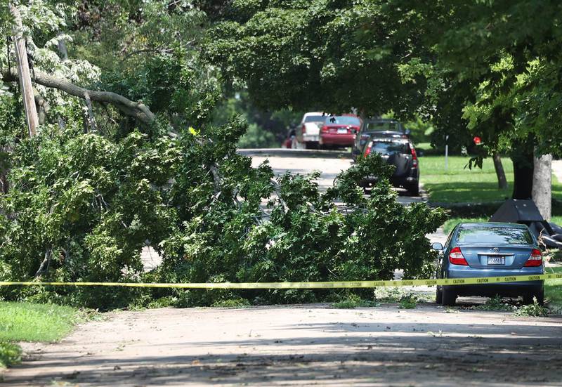 A tree blown down by Sunday’s storms lies across South Third Street Monday, July 15, 2024, in DeKalb. High Winds and heavy storms hit DeKalb County overnight causing downed trees and power outages in the area.