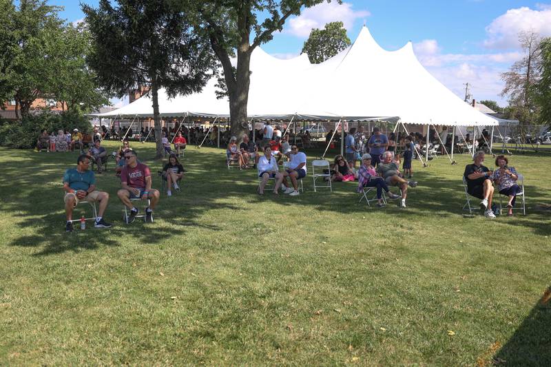 People use the trees for shade while listening to live music at Plainfield Fest on Saturday June 29, 2024.