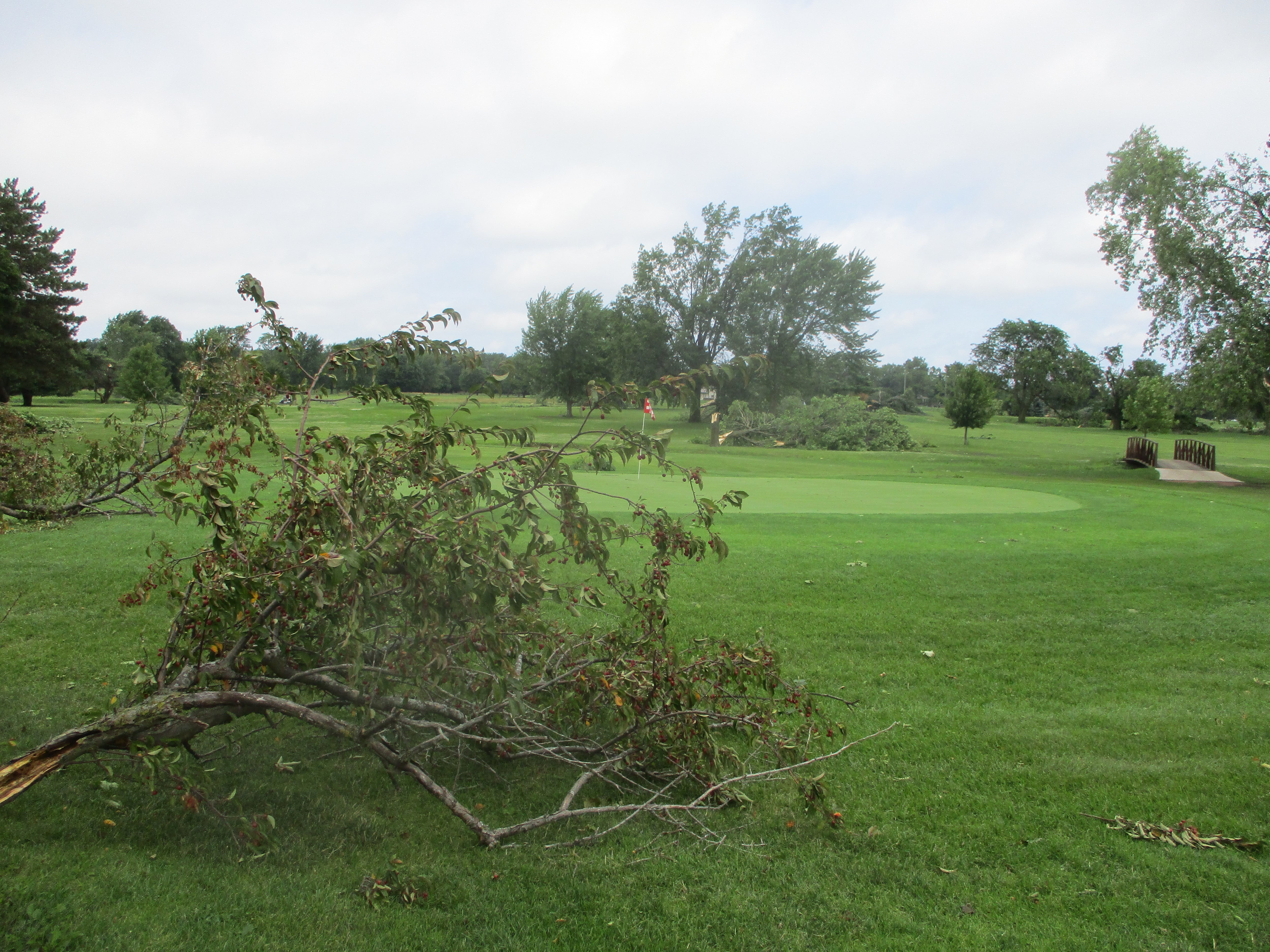 Tree damage seen on a section of the back nine holes at Inwood Golf Course in Joliet. The back nine was the worst hit by the Monday night storm, and the Joliet Park District plans to reopen the front nine on Thursday. July 16, 2024