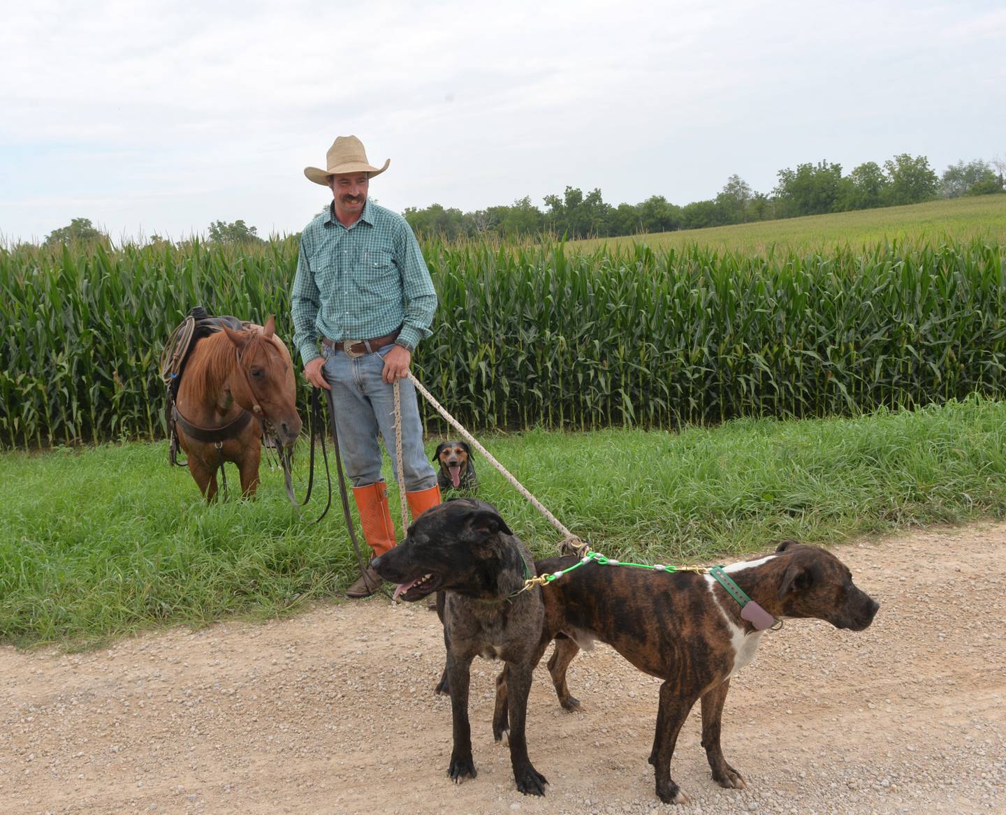 Wesley Bush stands with his one of his horses, Willy,  and three of his dogs Hank, Collar, and Lizzy, near his home on Capp Road, northeast of Morrison. Bush is the owner/operator of 2B Cattle Catching Services.