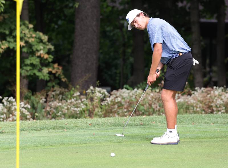 St. Charles North’s Jack Van Laningham hits a putt Monday, Sept. 16, 2024, during the Mark Rolfing Cup at the Kishwaukee Country Club in DeKalb.