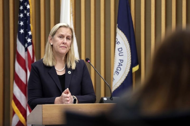 Highland Park Mayor Nancy Rotering calls for gun control measures during a DuPage County Board finance committee meeting Tuesday in Wheaton. (Brian Hill | Staff Photographer)