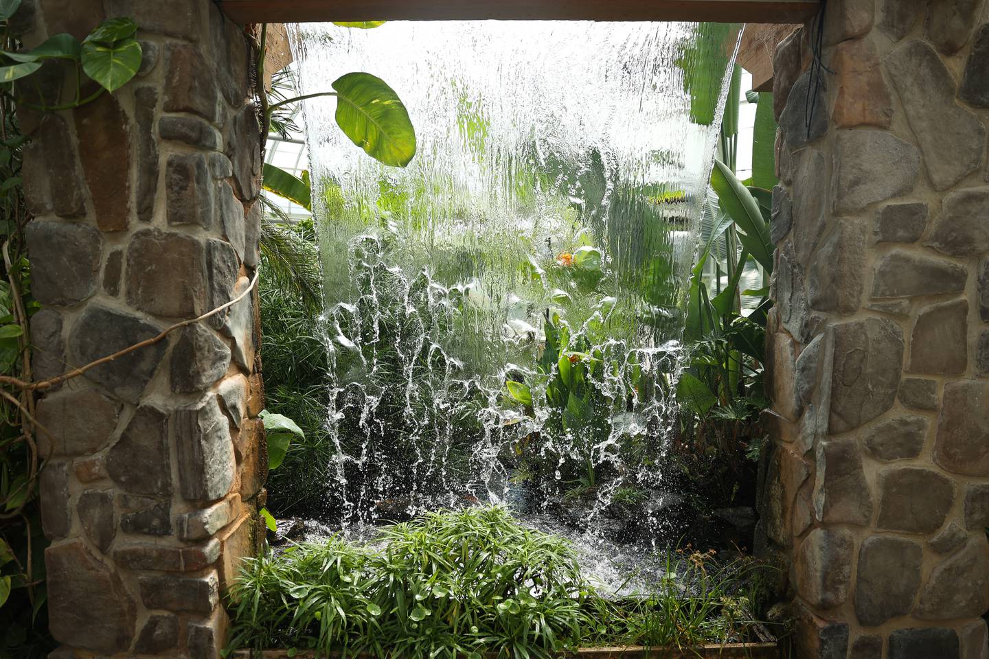 Water falls near a walkway inside the greenhouse at the Bird Haven Greenhouse and Conservatory on Wednesday, Aug. 30, 2023 in Joliet.
