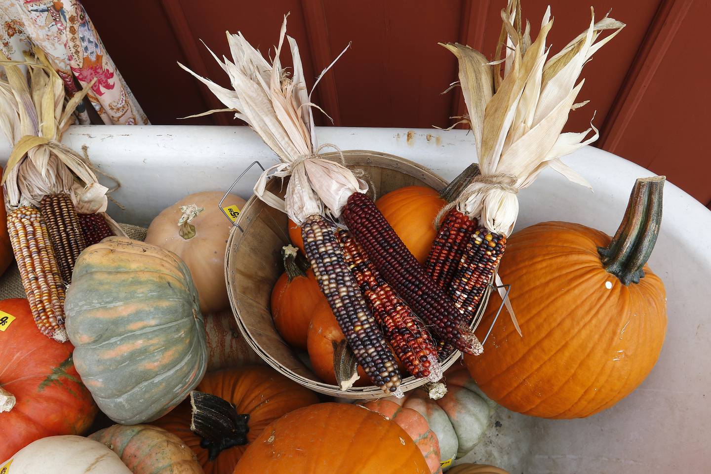 Pumpkins of all shapes and sizes are available along with other autumn-related foods, decorations, and more during the Fall on the Farm event at Tom's Market on Saturday, Oct. 2, 2021 in Huntley.  The month-long event began on Friday and will conclude Oct. 31.
