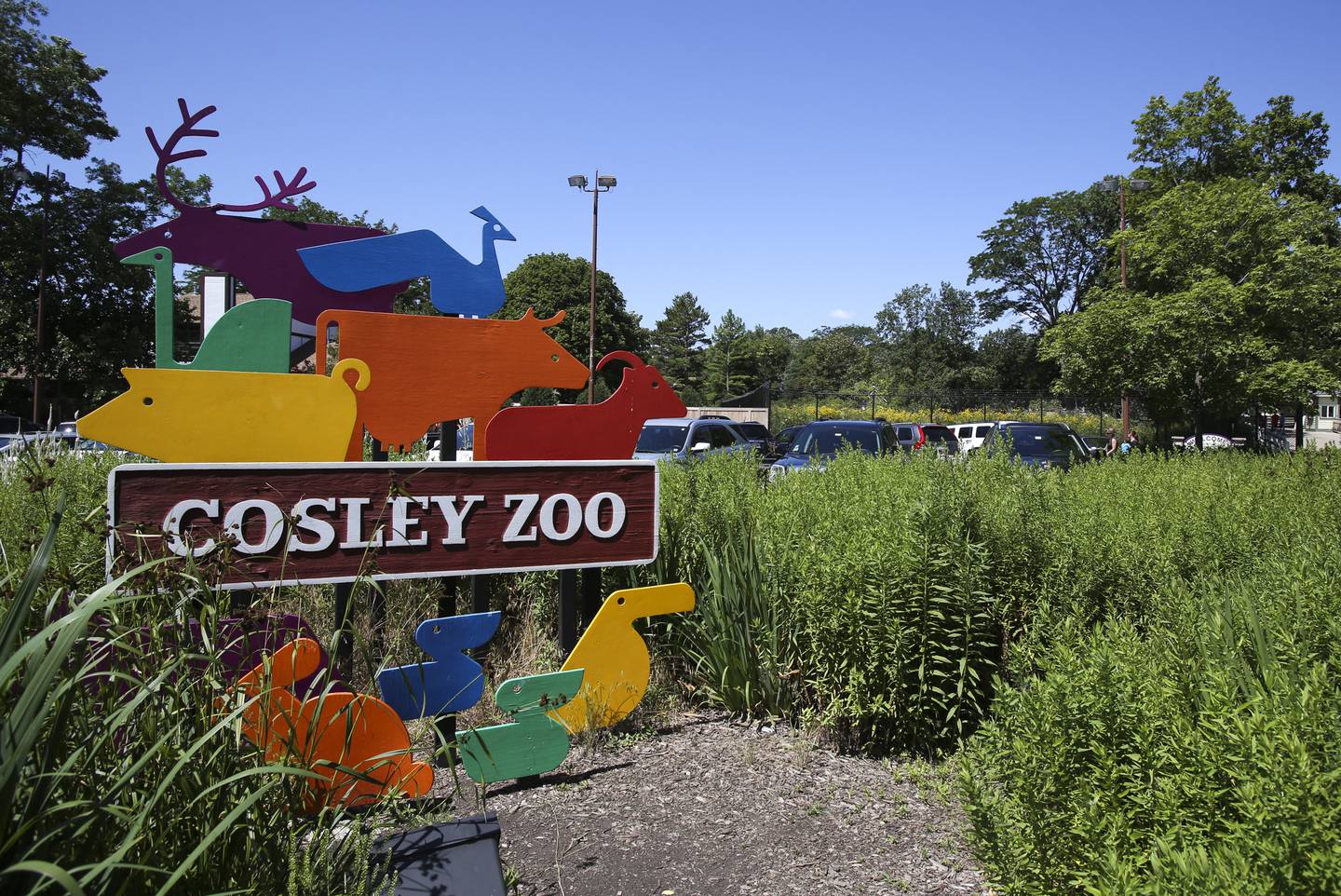 The Wheaton Park District is seeking permission from the city to construct a 93-space accessory parking lot for Cosley Zoo, 1351 N. Gary Ave.