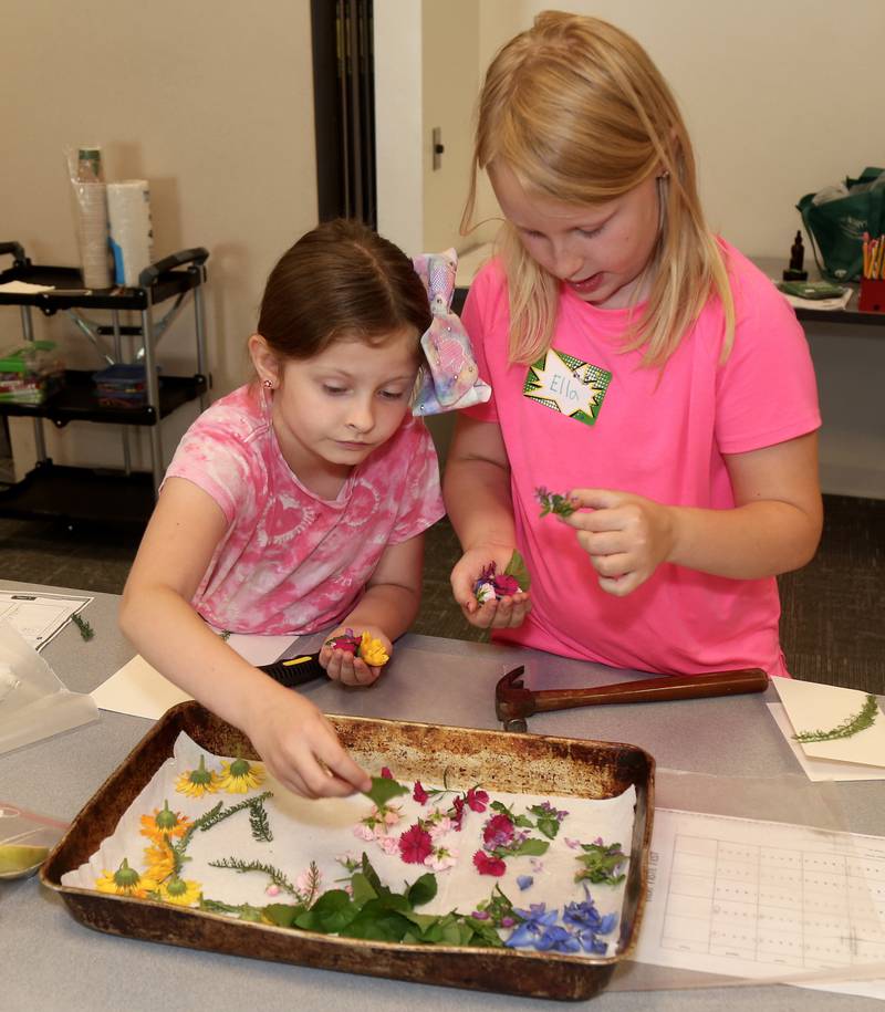 Olivia Dismuke and Ella Quinn prepare to make a craft using flowers and plants at the Town and Country Library on Friday, June 21, 2024 in Elburn.