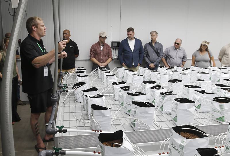 Oregonix Farms COO Owen Papworth talks about the growing room inside Oregonix Farms' new craft grow facility in Huntley on Friday, July 14, 2023.
