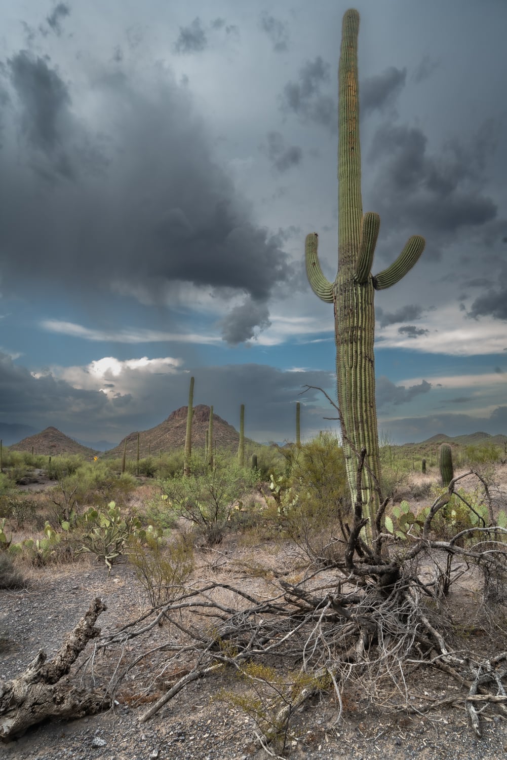 Local photographer puts on one-man show