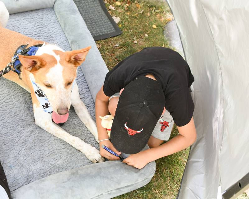 Paxton Drake, 7, of Naperville pampers his dog Mango, 3, Lab mix with Cattle dog by painting her nails during the Dog Daze event on Saturday Sept. 14, 2024, at Fishel Park in Downers Grove.