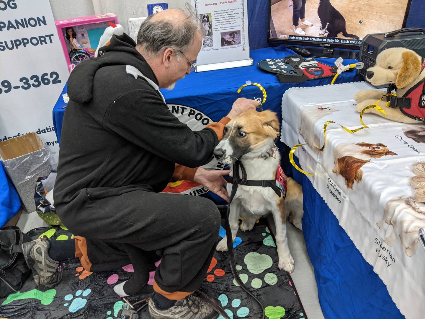 Those attending the Oswego Hometown Expo at Oswego High School on Feb. 24 had the chance to meet Blair Peters of VIP Service Dog Organizationalong with six-month-old Ripley, who is in training to become a service dog.