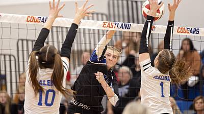 Girls volleyball: Galena holds off Newark in 1A Eastland Sectional semifinal