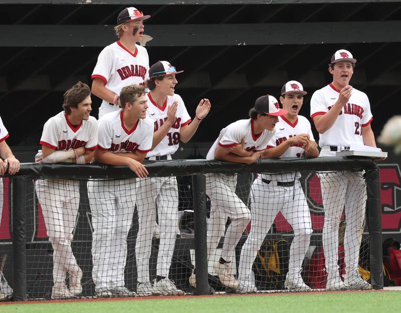 The Huntley bench celebrates a base hit during their Class 4A DeKalb Regional championship game against DeKalb Friday, May 24, 2024, at Ralph McKinzie Field at Northern Illinois University in DeKalb.