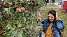 Wind doesn’t stop Ogle County Farm Stroll