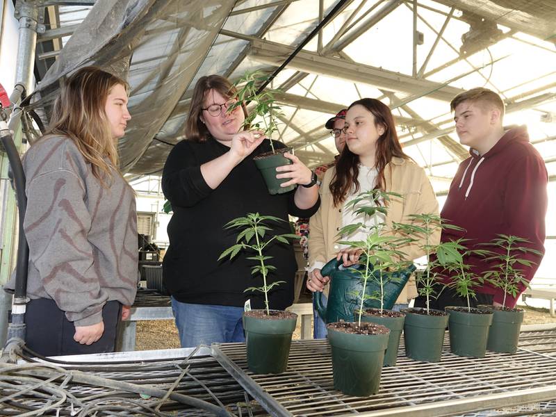 Jennifer Timmers (second from left) describes the anatomical development of cannabis plants in the vegetative stage in Illinois Valley Community College's greenhouse. Timmers’ students are (from left) Olivia Cisneros, Matthew Mesick, Mia Carrera and Luke Johnson.
