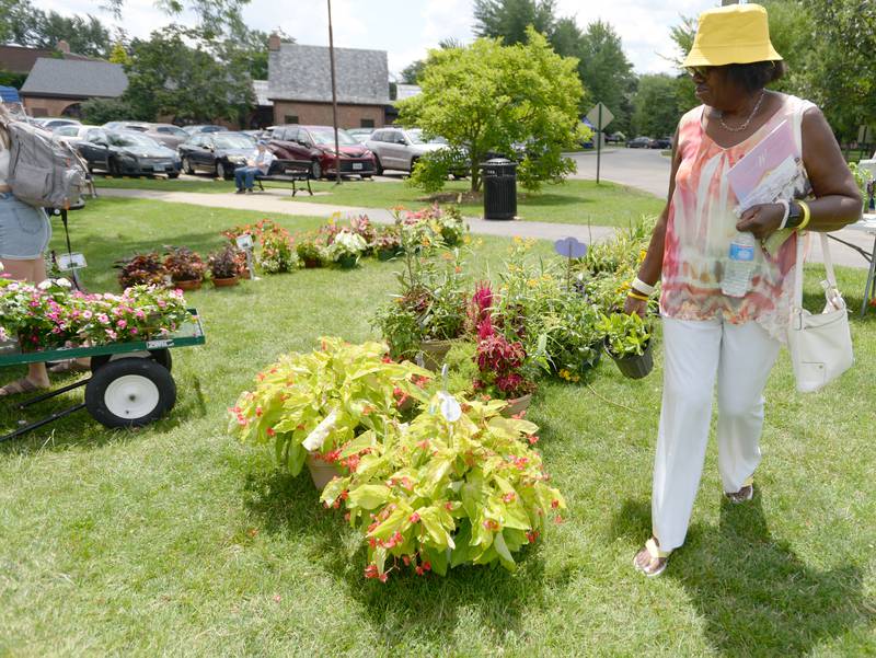 Cheryl Cole-Vaughn of Elmwood Park buys Butterfly Weed during the Elmhurst Garden Walk Faire at Wilder Park Sunday July 9, 2023.
