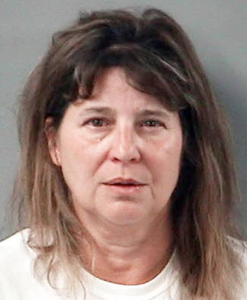 Crystal Lake Woman Charged With Fatal Hit And Run Free On Bond Shaw Local 