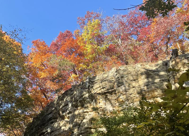 Colors of of yellow, orange, green stand out in the sunshine on top of Ottawa Canyon at Starved Rock State Park on Wednesday, Oct. 19, 2022 in Utica.