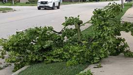 2 tornadoes confirmed in Kendall County during Monday night storm