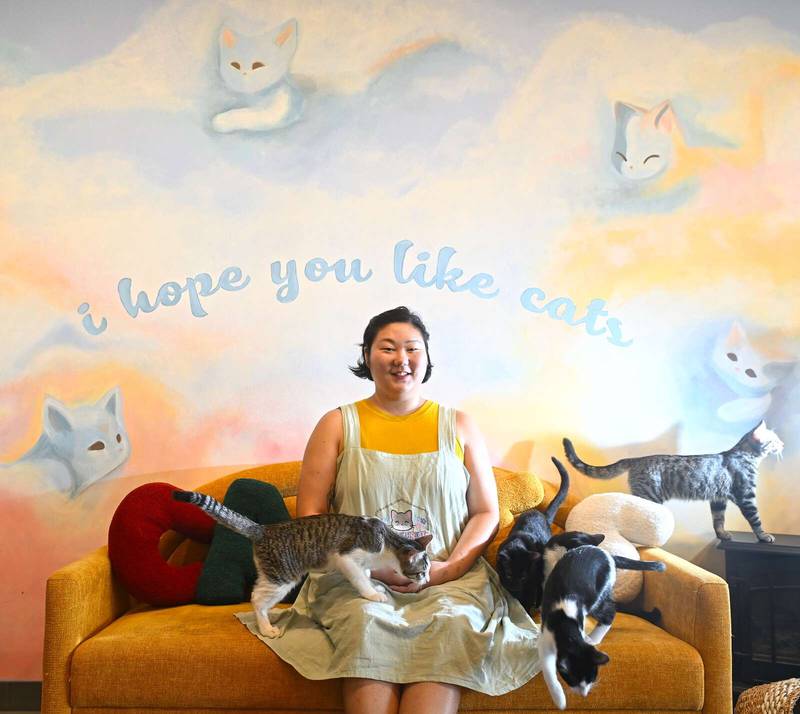 Irene Lee opened The Cat House, the suburbs’ first cat cafe, at the end of June.