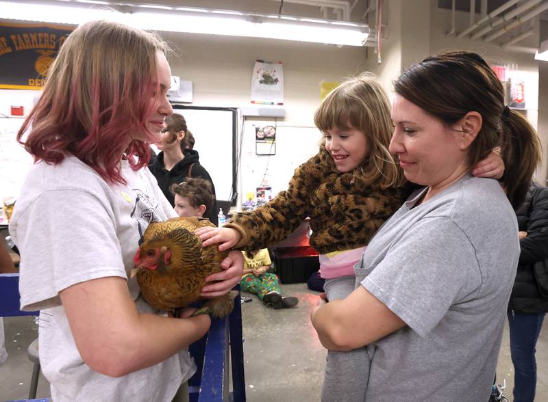 Teagan Adee, 4, from Sycamore and her mom Storey, pet a chicken being held by Lexi Morse, a sophomore, during the Future Farmers of America Baryard Zoo Wednesday, Feb. 21, 2024, at DeKalb High School. The program, which is held during National FFA Week, gives local kids a chance to visit the high school and learn about the FFA program and animals in agriculture.