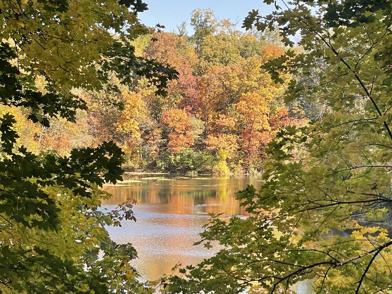 Fall colors pop at Matthiessen Lake at Matthiessen State Park on Wednesday, Oct. 19, 2022 in Oglesby.