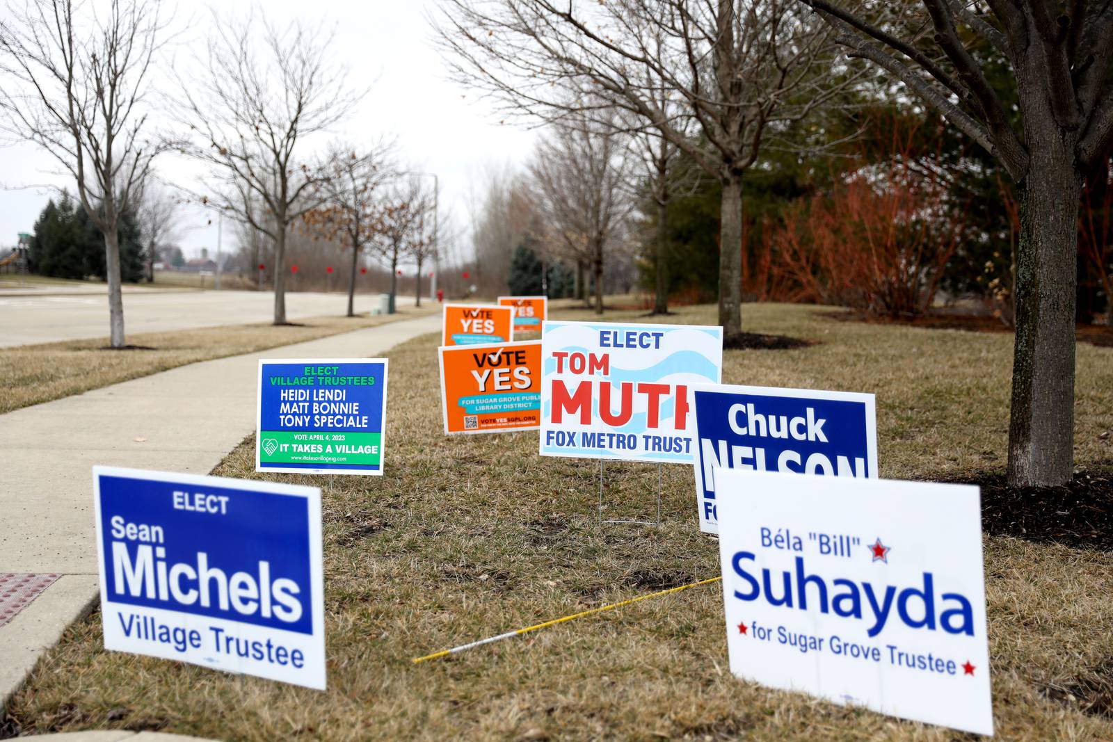 Here are the candidates for Kane County races in the April 4